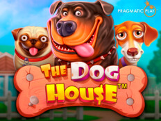 Red dog casino login2